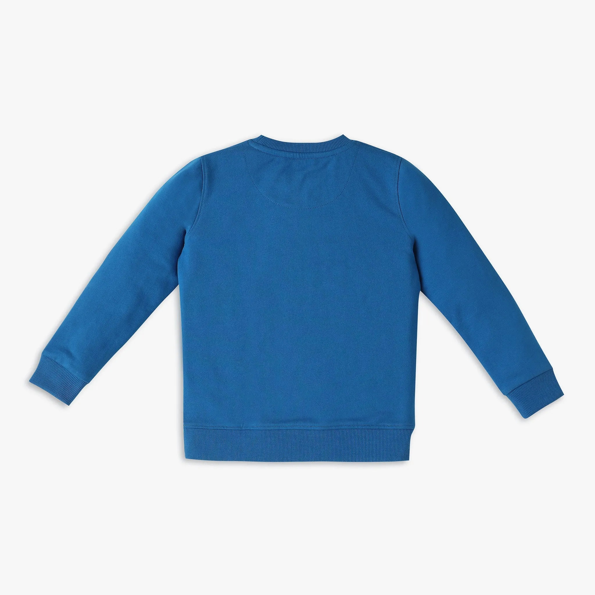 Boy's Regular Fit Graphic Sweat Tees